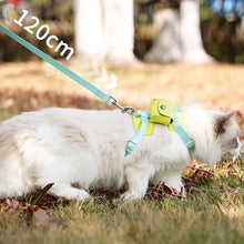 Load image into Gallery viewer, Cat Walking on a Leash | MissyMoMo
