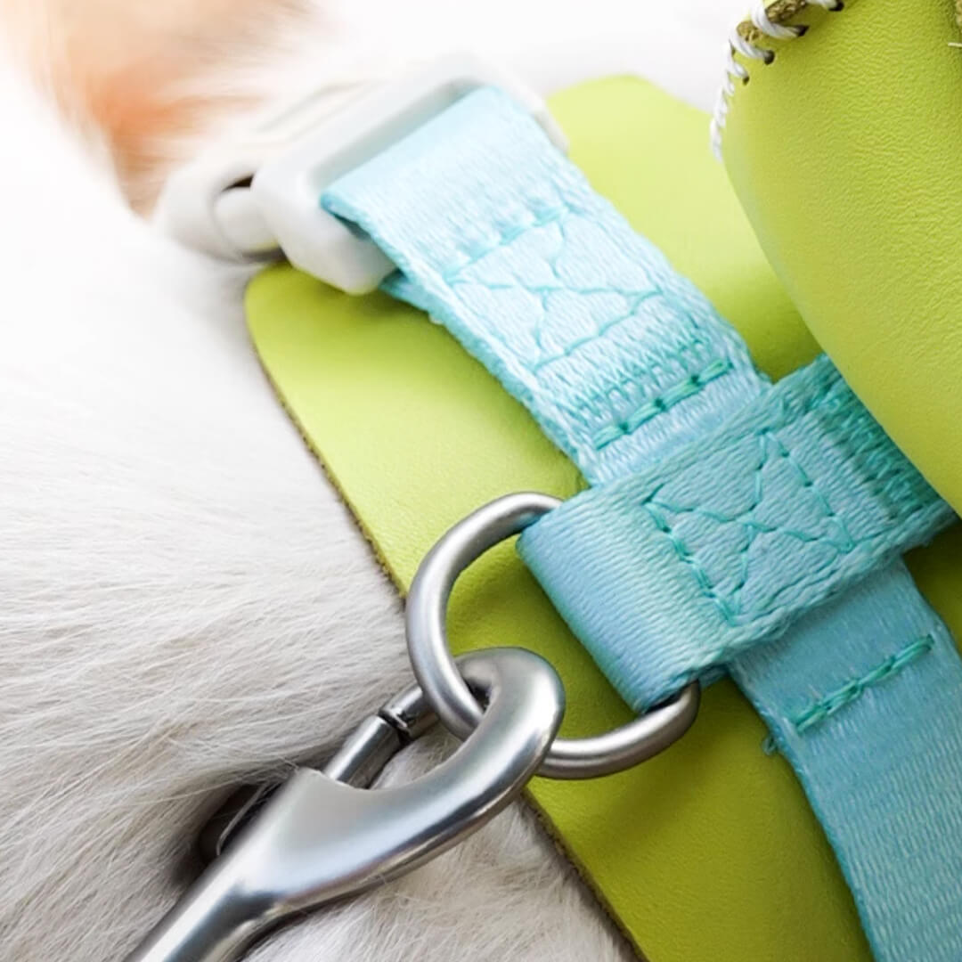 Leash Attachment D-ring on an H-Style Cat Harness | MissyMoMo