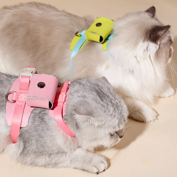 Two Cats in Pink & Turquoise H-Style Cat Harnesses | MissyMoMo