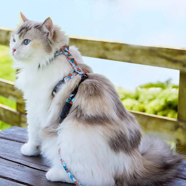 Cat on H-Style Floral Print Cat Harness | MissyMoMo 