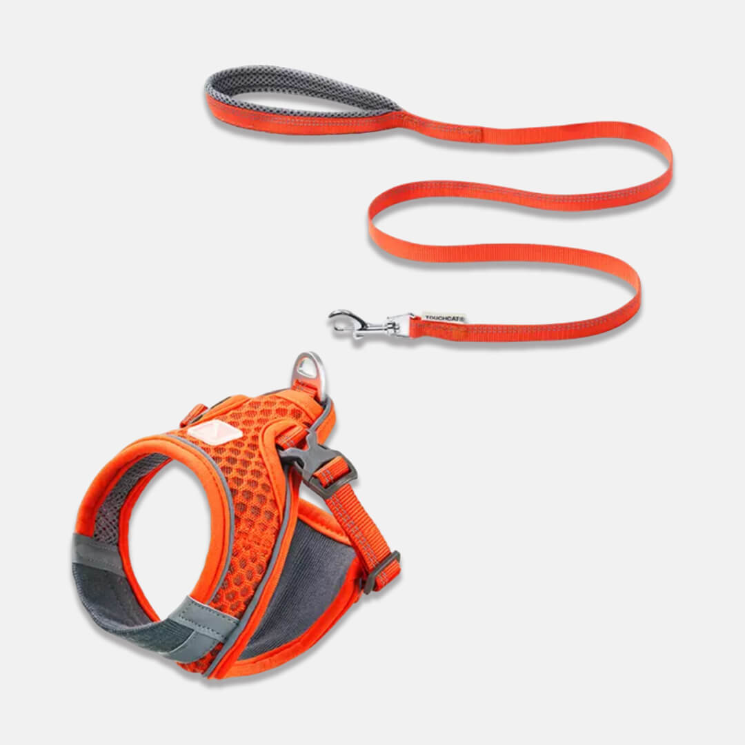 Orange Mesh Vest Cat Harness & Leash Set | MissyMoMo
