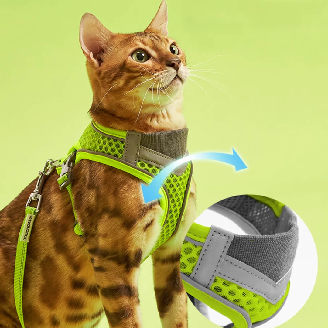 Cat in Neon Green Mesh Cat Vest Harness and Leash | MissyMoMo