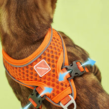 Load image into Gallery viewer, Orange Mesh Vest Cat Harness & Leash Set | MissyMoMo
