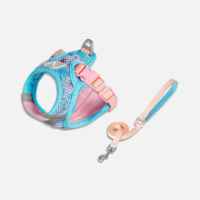 Load image into Gallery viewer, Blue & Pink Mesh Cat Vest Harness | MissyMoMo
