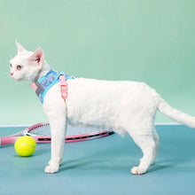 Load image into Gallery viewer, Devon Rex in Blue & Pink Cat Vest Harness | MissyMoMo