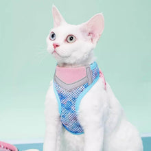 Load image into Gallery viewer, Devon Rex in Blue & Pink Cat Vest Harness | MissyMoMo