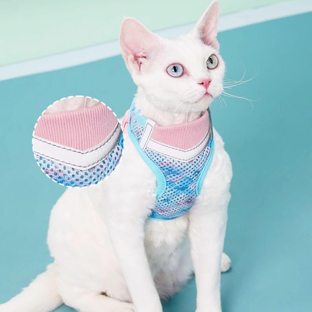 Devon Rex in Blue & Pink Cat Vest Harness | MissyMoMo