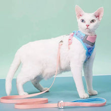 Load image into Gallery viewer, Devon Rex in Blue & Pink Cat Vest Harness | MissyMoMo