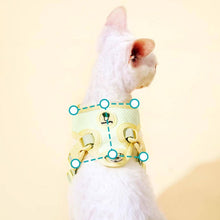 Load image into Gallery viewer, Devon Rex in Adjustable Mesh Vest Cat Harness | MissyMoMo