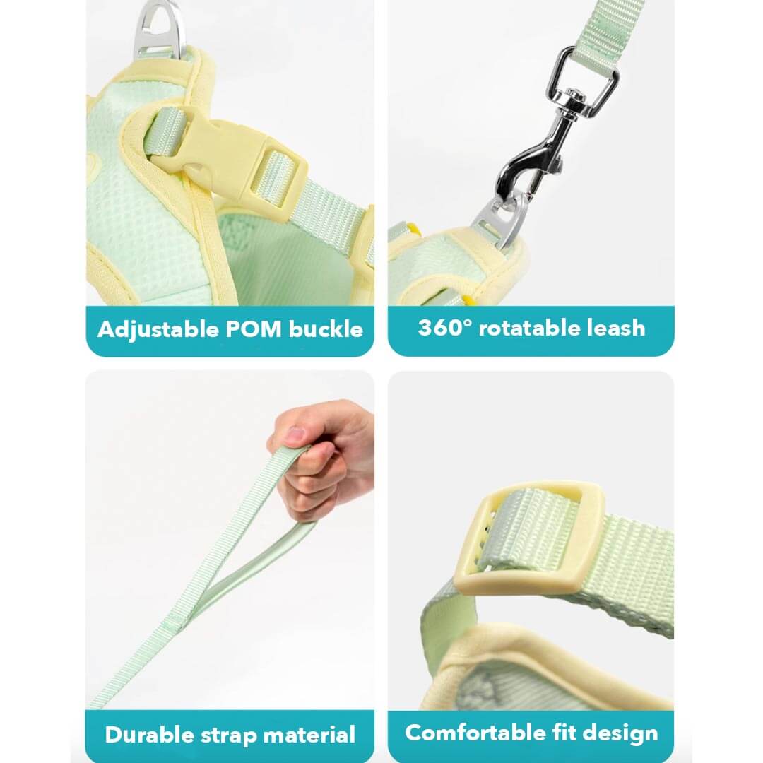 Features of Mesh Harness with Leash for Cats and Kittens | MissyMoMo