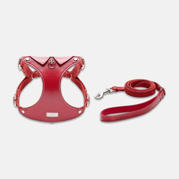 Red Leather Cat Harness & Leather Set for Walking | MissyMoMo