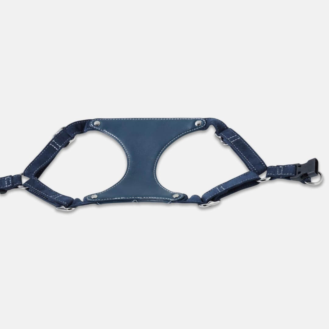 Stylish Blue Leather Cat Harness | MissyMoMo