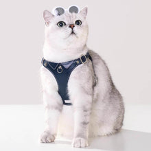 Load image into Gallery viewer, Cat in Stylish Blue Leather Cat Harness | MissyMoMo