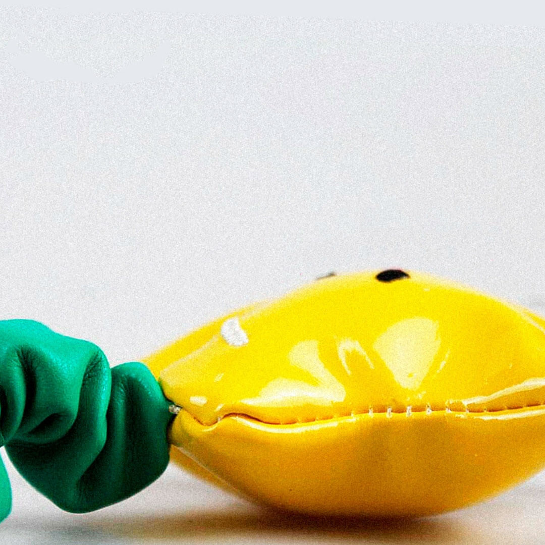 Twinkle Cat Wand Toy | Funny Toy for Bored Cats | MissyMoMo