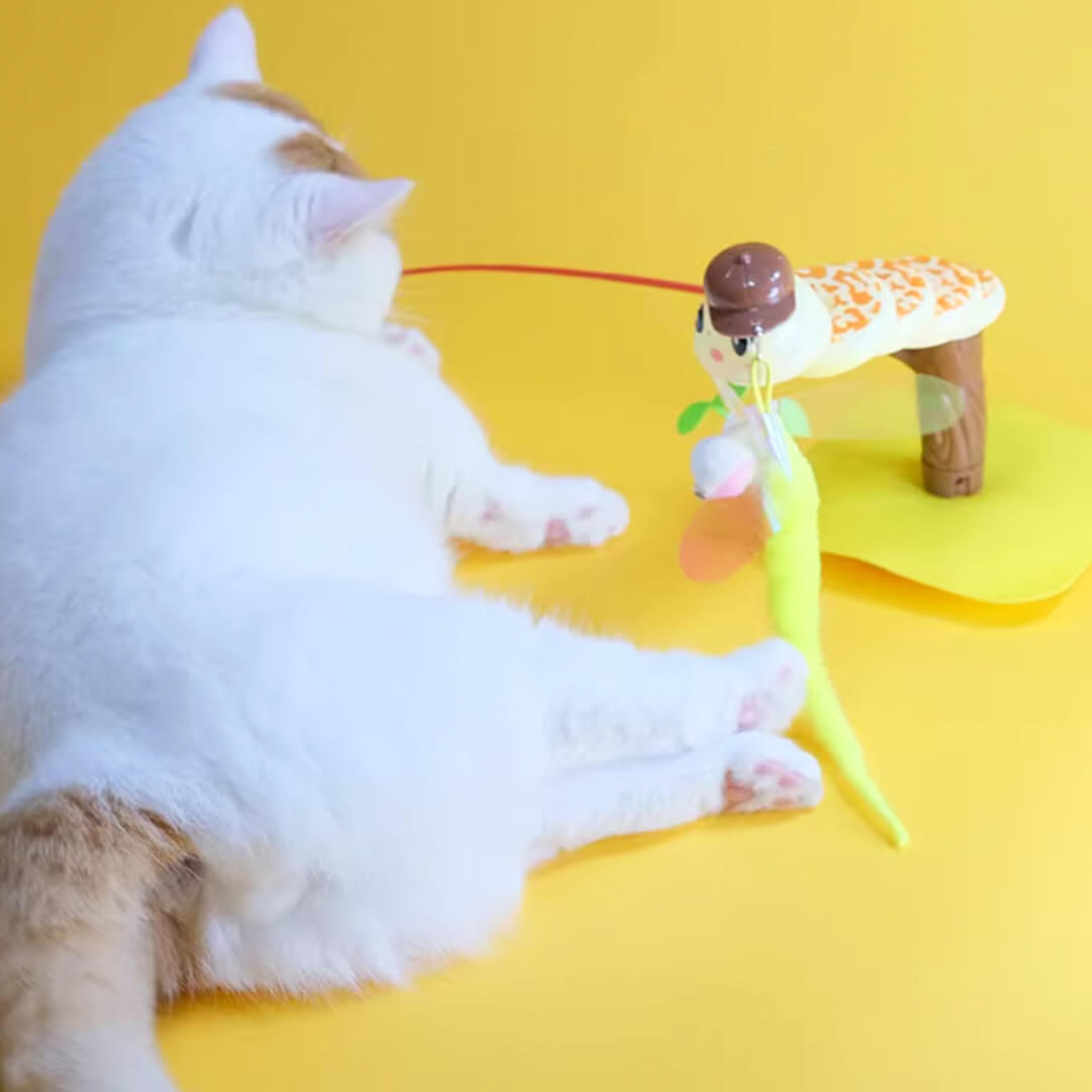 Cat Playing with Twist & Tease Snake Cat Toy | Interactive Cat Toy | MissyMoMo