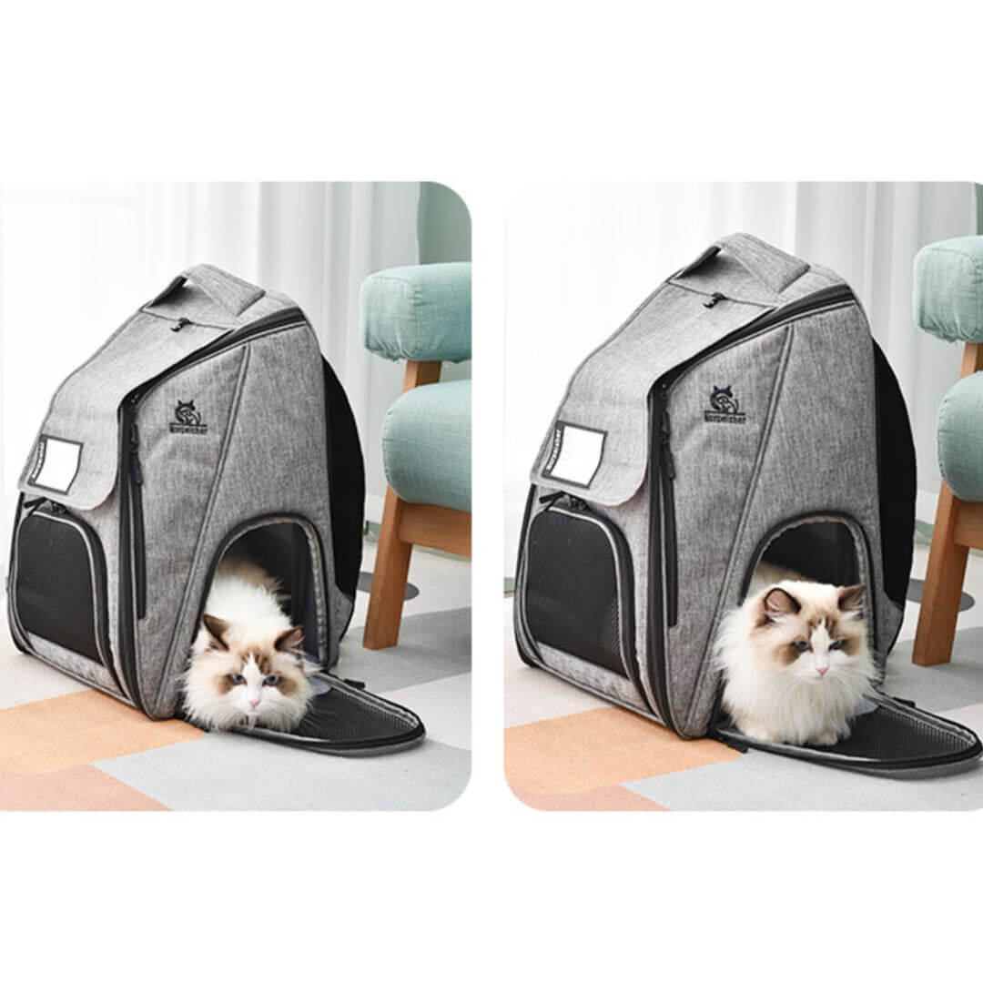 Urban Wanderer Cat Backpack for Carrying Cat | Cat in Backpack | MissyMoMo