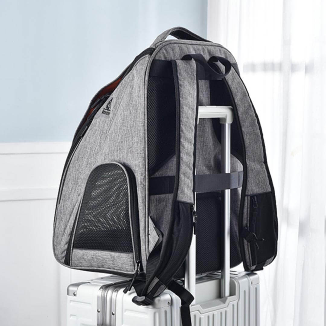 Urban Wanderer Cat Backpack | Carry-On Cat Traveling Backpack | MissyMoMo