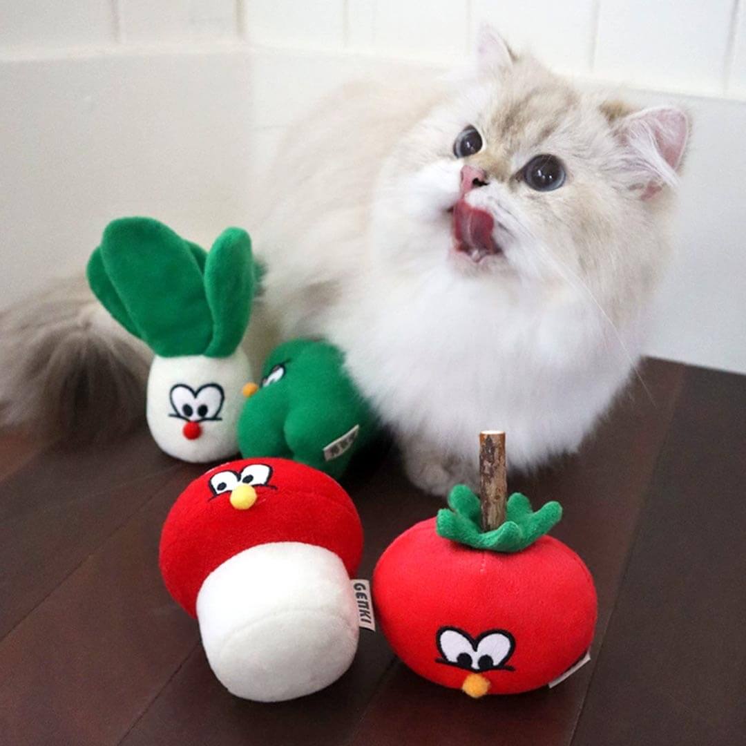 Cat Playing with Veggie Catnip Toys | MissyMoMo