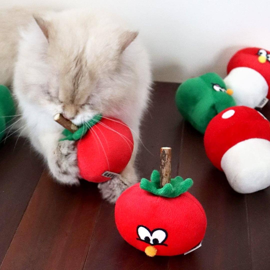 Cat Playing with Tomato Plush Catnip Toy | MissyMoMo