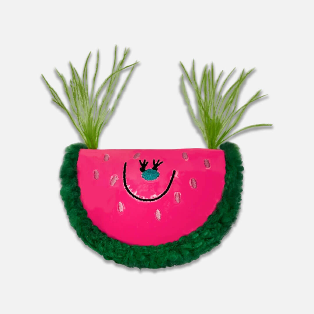 Watermelon Catnip Toy | Cat Toys for Boredom | MissyMoMo