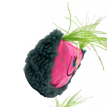 Load image into Gallery viewer, Watermelon Catnip Toy | Cat Toys for Boredom | MissyMoMo