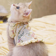 Load image into Gallery viewer, Kitten in Floral Print Dress | MissyMoMo
