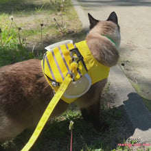 Load and play video in Gallery viewer, Siamese Cat Wearing Honeybee Cat Harness Walking Outdoors | MissyMoMo

