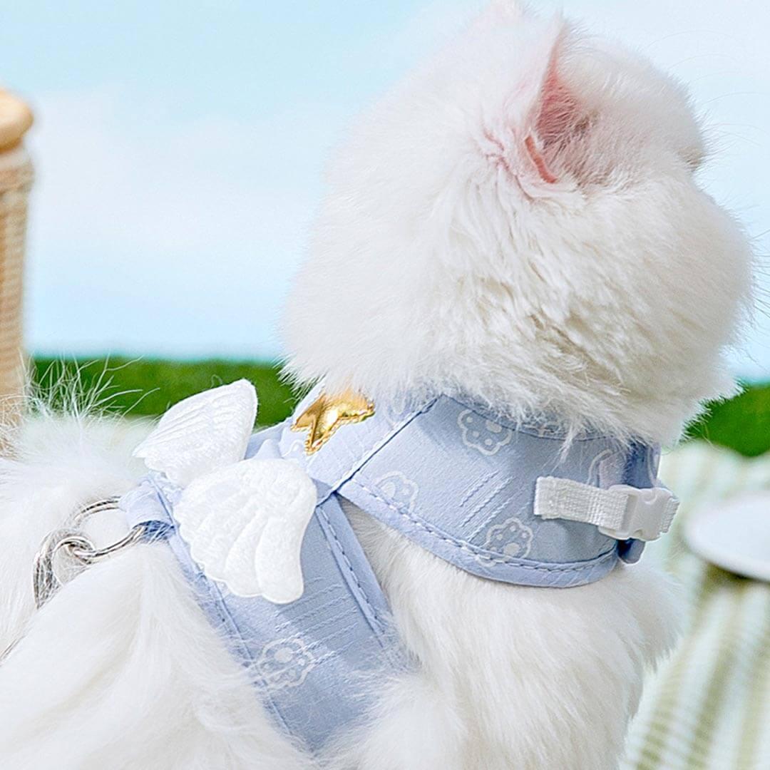 Cat Sitting in Blue Angel Harness with Wings | MissyMoMo