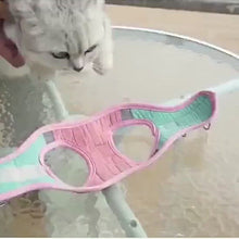 Load and play video in Gallery viewer, Cat Wearing Marshmallow Reflective Cat Harness | MissyMoMo
