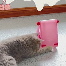 Load and play video in Gallery viewer, Cats Playing with Cheesy Hideaway Mouse Trap | Interactive Cat Toys | MissyMoMo
