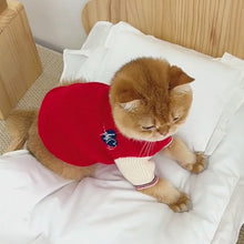 Load and play video in Gallery viewer, Preppy Sweater for Cats &amp; Kittens | Cat Clothes | MissyMoMo

