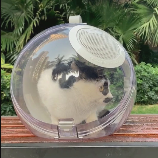 Cat Inside Transparent Moboli Capsule Cat Carrier | MissyMoMo