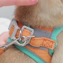 Load and play video in Gallery viewer, Mochi Escape-Proof Cat Harness and Leash for Walking | Cat on a Leash | MissyMoMo
