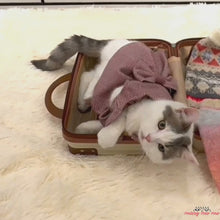 Load and play video in Gallery viewer, Red Tweed Cat Dress | Cute Dress for Cats | MissyMoMo
