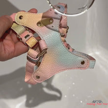 Load and play video in Gallery viewer, Water Repellent Leather Cat Harness | Pink Luxury Lightweight Cat Harness | MissyMoMo
