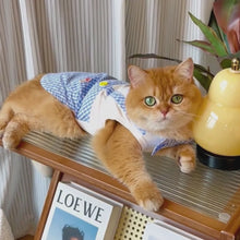 Load and play video in Gallery viewer, Cat in Check Vest | MissyMoMo
