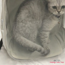 Load and play video in Gallery viewer, Wulee  Cat Backpack | Clear Cat Travel Carrier | MissyMoMo
