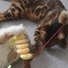 Load and play video in Gallery viewer, Cats Playing with Twist &amp; Tease Snake Cat Toy | Interactive Cat Toy | MissyMoMo
