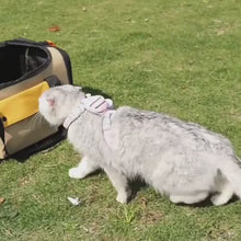 Load and play video in Gallery viewer, Stylish Expandable Cat Carrier for Flying | MissyMoMo
