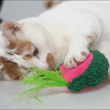 Load and play video in Gallery viewer, Watermelon Catnip Toy | Cat Toys for Boredom | MissyMoMo
