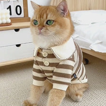 Load and play video in Gallery viewer, Cat in Striped Shirt | Cat Clothes | MissyMoMo
