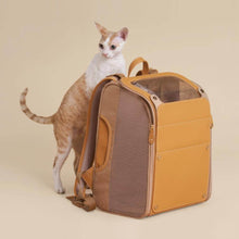 Load image into Gallery viewer, Floof Voyager Cat Backpack | Cat with Backpack for Carrying Cat | MissyMoMo
