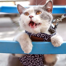 Load image into Gallery viewer, Cat Wearing Fuku Cat Harness in Blue Waves Pattern | MissyMoMo
