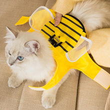 Load image into Gallery viewer, Holding Matching Leash with Honeybee Cat Harness | MissyMoMo
