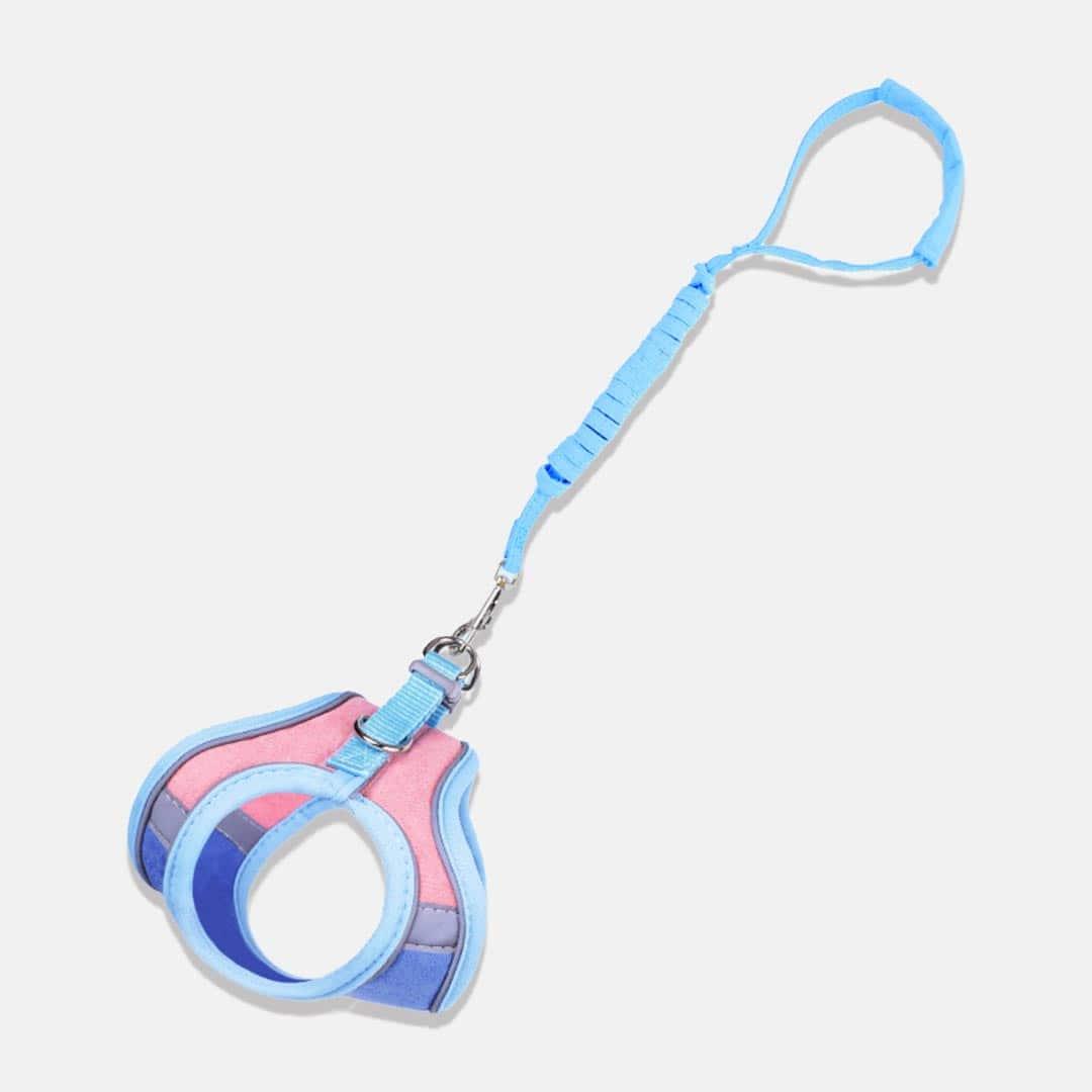 Marshmallow Reflective Cat Harness & Leash Set in Blue and Pink Combo | MissyMoMo