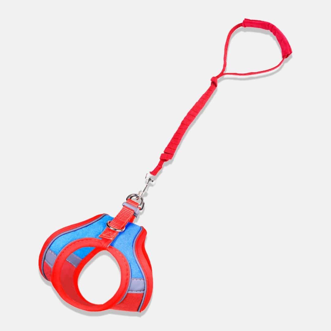 Marshmallow Reflective Cat Harness & Leash Set in Red and Blue Combo | MissyMoMo