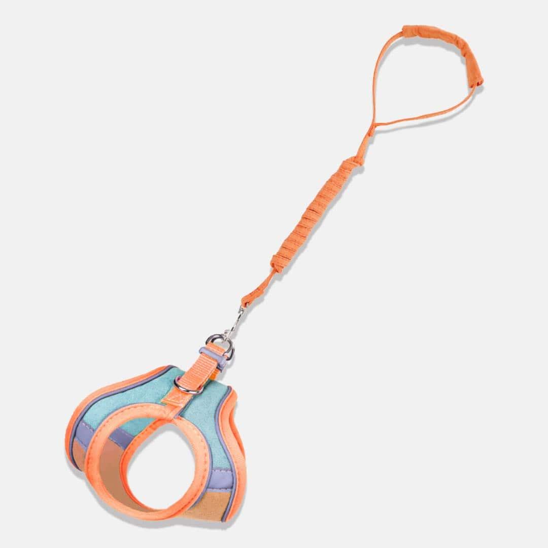 Marshmallow Reflective Cat Harness & Leash Set in Orange and Mint Combo | MissyMoMo