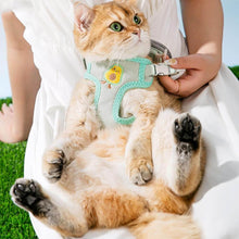 Load image into Gallery viewer, Cat Lounging With Milo Cat Harness | MissyMoMo