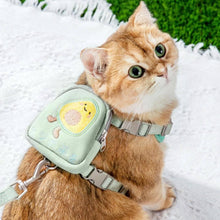 Load image into Gallery viewer, Cat Ready For A Walk With Milo Cat Harness, Wearing Mini Bag | MissyMoMo