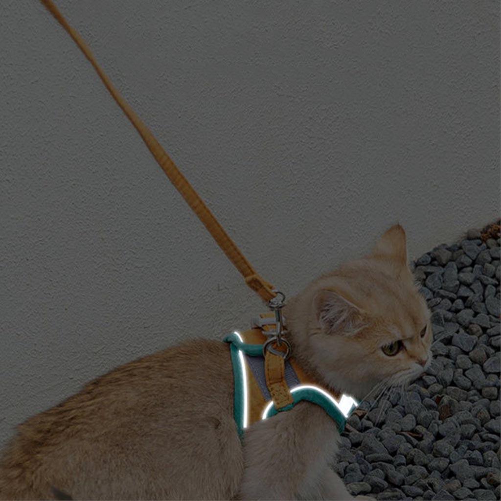 Reflective Strip on Mochi Cat Harness | MissyMoMo